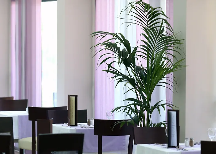 Hotel Bluesun Vela Luka