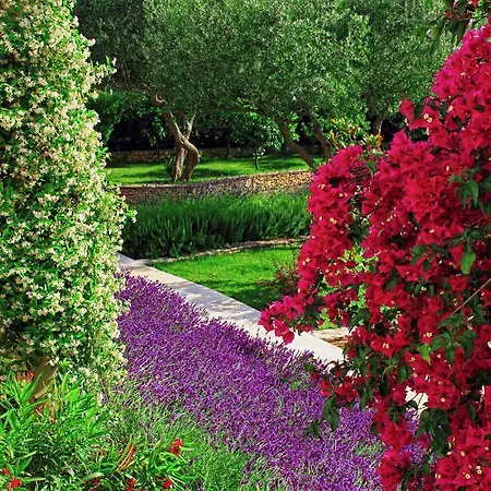 Bluesun Vela Luka Mirce