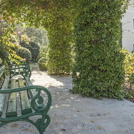 Bluesun Vela Luka 4*