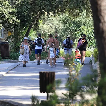 Bluesun Vela Luka Hotel