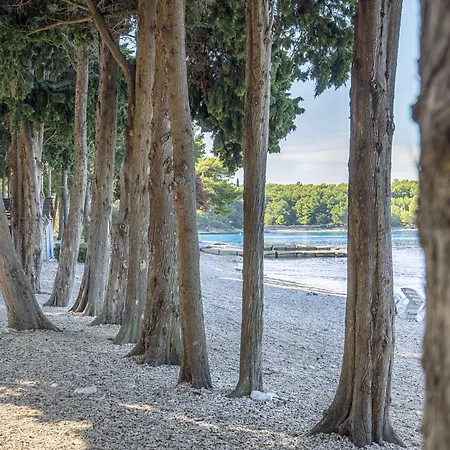 Bluesun Vela Luka 4* Mirce