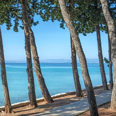 Bluesun Vela Luka Hotel 4*